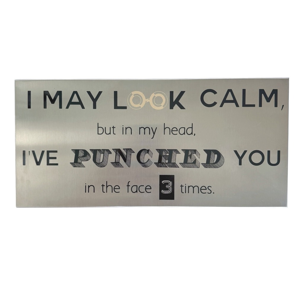 Brushed Metal Sarcastic Wall Sign Decor 12.5x6‎ Aggressive Humor Man Cave Edgy